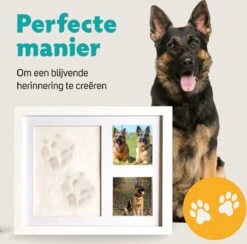 Honden Fotolijst Met Kleiafdruk - Gipsafdruk - Speelgoed Voor Dieren - Pootafdruk Hond - Puppy Speelgoed - Gipsafdruk Huisdier -Merkloos Winkel 1200x1186 10