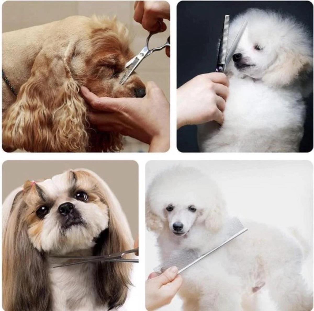 VoordeelShop 7-Delige Huisdier Knipset Met Etui - Trimmen Hond - Honden Schaar - Effileerschaar Hond - Huisdier Trimmer - Huisdier Knippen - Knipschaar Haar - Haar Schaar - Kapper - Kapperset - Scharenset 16 VoordeelShop 7-Delige Huisdier Knipset Met Etui - Trimmen Hond - Honden Schaar - Effileerschaar Hond - Huisdier Trimmer - Huisdier Knippen - Knipschaar Haar - Haar Schaar - Kapper - Kapperset - Scharenset - Afbeelding 14