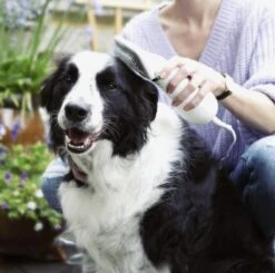 Merkloos HondenFöhn En Borstel - RVS Borstel - Huisdieren - 2 In 1 Hondenföhn 14 Merkloos HondenFöhn En Borstel - RVS Borstel - Huisdieren - 2 In 1 Hondenföhn -Merkloos Winkel 1200x1190 4