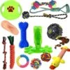 Filo Honden Speelgoed Set 14 Stuks - Hondenspeeltjes Knuffel - Hondenbal - Flostouw - Bot - Frisbee - Hondentouw - Hondenspeelgoed Intelligentie - Kauwspeelgoed Hond En Puppy - Bijtspeelgoed Hondenknuffel - Hondenspeeltje Met Piep 2 Filo Honden Speelgoed Set 14 Stuks - Hondenspeeltjes Knuffel - Hondenbal - Flostouw - Bot - Frisbee - Hondentouw - Hondenspeelgoed Intelligentie - Kauwspeelgoed Hond En Puppy - Bijtspeelgoed Hondenknuffel - Hondenspeeltje Met Piep -Merkloos Winkel 1200x1191 11