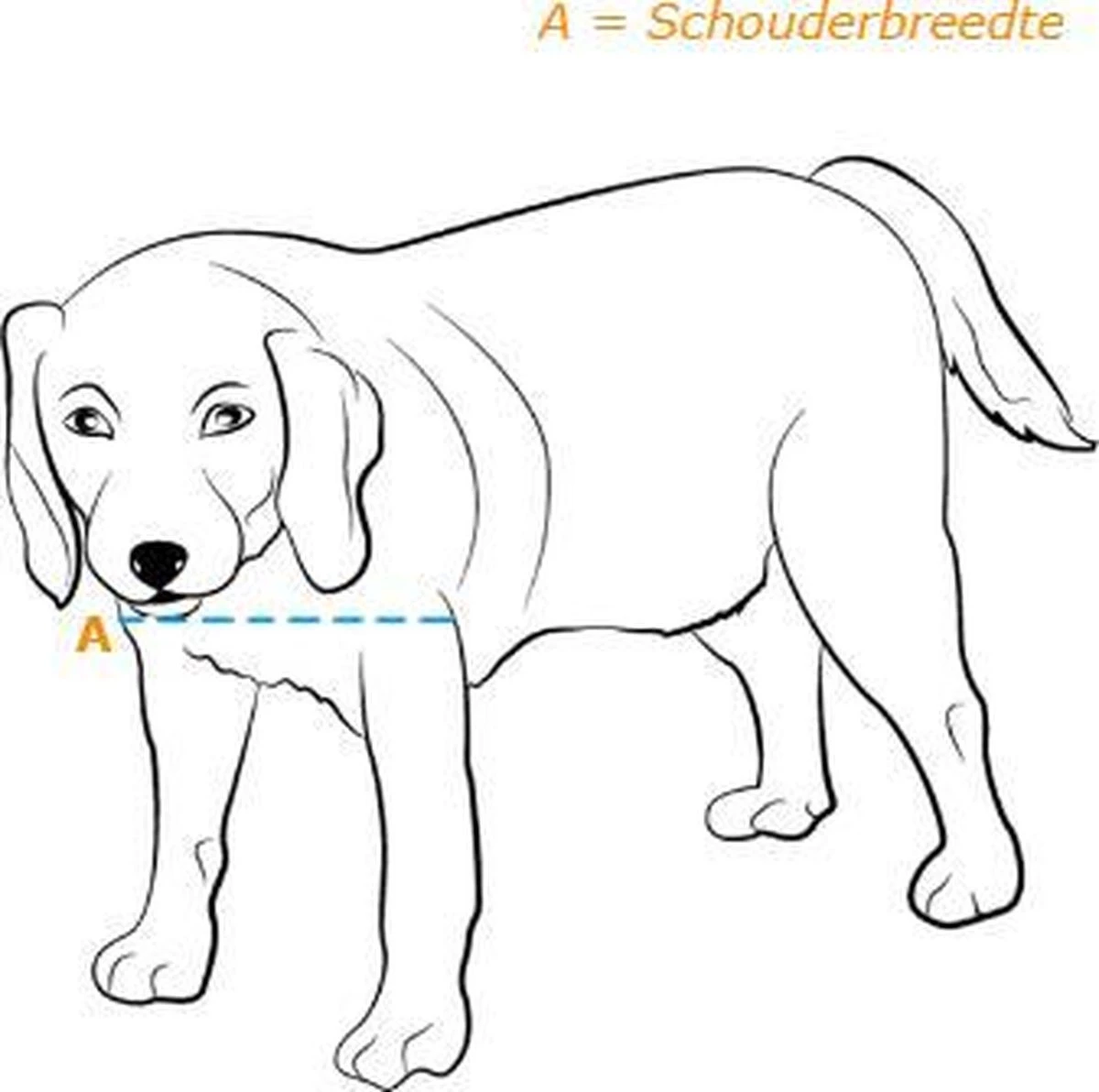 Petsafe 660 Hondenluik - Tot 100 Kg - Aluminium 6 Petsafe 660 Hondenluik - Tot 100 Kg - Aluminium - Afbeelding 4