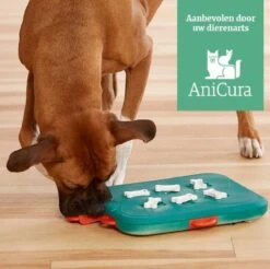 Nina Ottosson Dog Casino - Turquoise/Oranje - 31,5 X 26 X 4,5 Cm -Merkloos Winkel 1200x1193 7