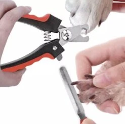 Merkloos Professionele Nagelschaar - Dieren Nagelschaar - Rood & Zwart - Honden Nagelknipper - Hondennagels - Honden Knip Schaar - Honden Knipsch 12 Merkloos Professionele Nagelschaar - Dieren Nagelschaar - Rood & Zwart - Honden Nagelknipper - Hondennagels - Honden Knip Schaar - Honden Knipsch -Merkloos Winkel 1200x1195 10