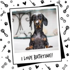 Bugalugs - Hondenshampoo - One In A Million - Alle Vachttypes - Fles Met Pompje - Vegan - 500 Ml 21 Bugalugs - Hondenshampoo - One In A Million - Alle Vachttypes - Fles Met Pompje - Vegan - 500 Ml -Merkloos Winkel 1200x1196 6