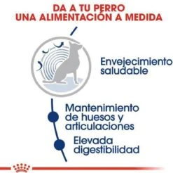 Royal Canin Maxi Ageing 8+ 15 KG -Merkloos Winkel 1200x1197 13