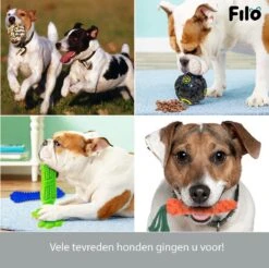 Filo Honden Speelgoed Set 14 Stuks - Hondenspeeltjes Knuffel - Hondenbal - Flostouw - Bot - Frisbee - Hondentouw - Hondenspeelgoed Intelligentie - Kauwspeelgoed Hond En Puppy - Bijtspeelgoed Hondenknuffel - Hondenspeeltje Met Piep 16 Filo Honden Speelgoed Set 14 Stuks - Hondenspeeltjes Knuffel - Hondenbal - Flostouw - Bot - Frisbee - Hondentouw - Hondenspeelgoed Intelligentie - Kauwspeelgoed Hond En Puppy - Bijtspeelgoed Hondenknuffel - Hondenspeeltje Met Piep -Merkloos Winkel 1200x1197 20