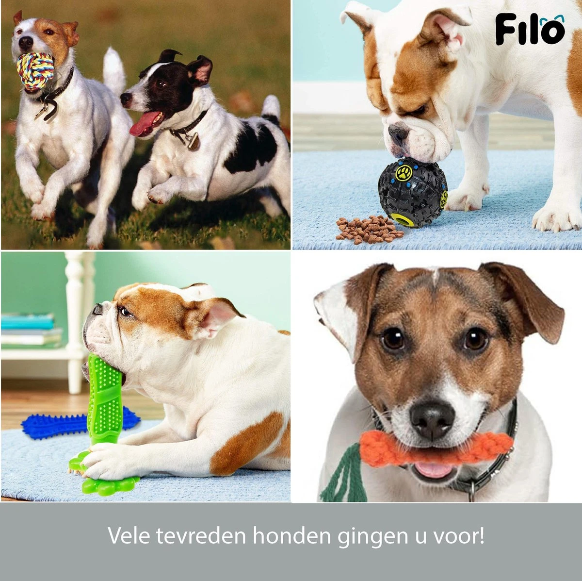 Filo Honden Speelgoed Set 14 Stuks - Hondenspeeltjes Knuffel - Hondenbal - Flostouw - Bot - Frisbee - Hondentouw - Hondenspeelgoed Intelligentie - Kauwspeelgoed Hond En Puppy - Bijtspeelgoed Hondenknuffel - Hondenspeeltje Met Piep 7 Filo Honden Speelgoed Set 14 Stuks - Hondenspeeltjes Knuffel - Hondenbal - Flostouw - Bot - Frisbee - Hondentouw - Hondenspeelgoed Intelligentie - Kauwspeelgoed Hond En Puppy - Bijtspeelgoed Hondenknuffel - Hondenspeeltje Met Piep - Afbeelding 5