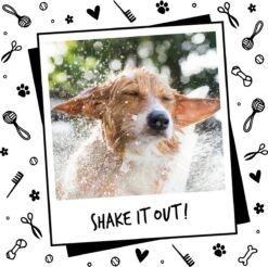 Bugalugs - Hondenshampoo - One In A Million - Alle Vachttypes - Fles Met Pompje - Vegan - 500 Ml 18 Bugalugs - Hondenshampoo - One In A Million - Alle Vachttypes - Fles Met Pompje - Vegan - 500 Ml -Merkloos Winkel 1200x1197 7