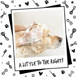 Bugalugs - Hondenshampoo - One In A Million - Alle Vachttypes - Fles Met Pompje - Vegan - 500 Ml 23 Bugalugs - Hondenshampoo - One In A Million - Alle Vachttypes - Fles Met Pompje - Vegan - 500 Ml -Merkloos Winkel 1200x1197 9