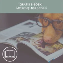 Comfort Company Praatknop Hond | Dogbuttons – Honden Speelgoed | Honden Speelgoed Intelligentie | 4 Stuks | Agility Voor De Hond | 30 Seconden Opnamen | Honden Training 17 Comfort Company Praatknop Hond | Dogbuttons – Honden Speelgoed | Honden Speelgoed Intelligentie | 4 Stuks | Agility Voor De Hond | 30 Seconden Opnamen | Honden Training -Merkloos Winkel 1200x1198 23