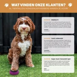 Vulpes Pets® PRO Praatknop Voor Honden - Dogbuttons - Laat Uw Huisdier Spreken - Hondenspeelgoed - Honden Training - Incl. E-Book & Trainingsstickers 22 Vulpes Pets® PRO Praatknop Voor Honden - Dogbuttons - Laat Uw Huisdier Spreken - Hondenspeelgoed - Honden Training - Incl. E-Book & Trainingsstickers -Merkloos Winkel 1200x1198 24