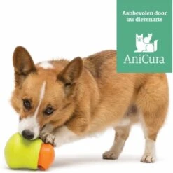 West Paw Toppl Zogoflex - Uitdagend En Sterk Speelgoed Voor Honden - Slowfeeder - Vulbaar Met Voer Of Snacks - Kleur: Groen, Maat: Large 31 West Paw Toppl Zogoflex - Uitdagend En Sterk Speelgoed Voor Honden - Slowfeeder - Vulbaar Met Voer Of Snacks - Kleur: Groen, Maat: Large -Merkloos Winkel 1200x1198 28