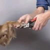 Merkloos Nagelknipper Hond - Huisdier - Dier - Kat - Nageltang - Nagelschaar - Nagels Knippen Hond - Dierennagel Knipper -Merkloos Winkel 1200x1198 3