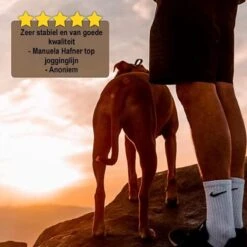 Looplijn Met Heupriem Hands Free - Hondenriem - Reflecterende Hardloopband -Elastische Leiband - Heuptas En Flessenhouder - Zwart - 150 Cm Tot 210 Cm -Merkloos Winkel 1200x1198 32