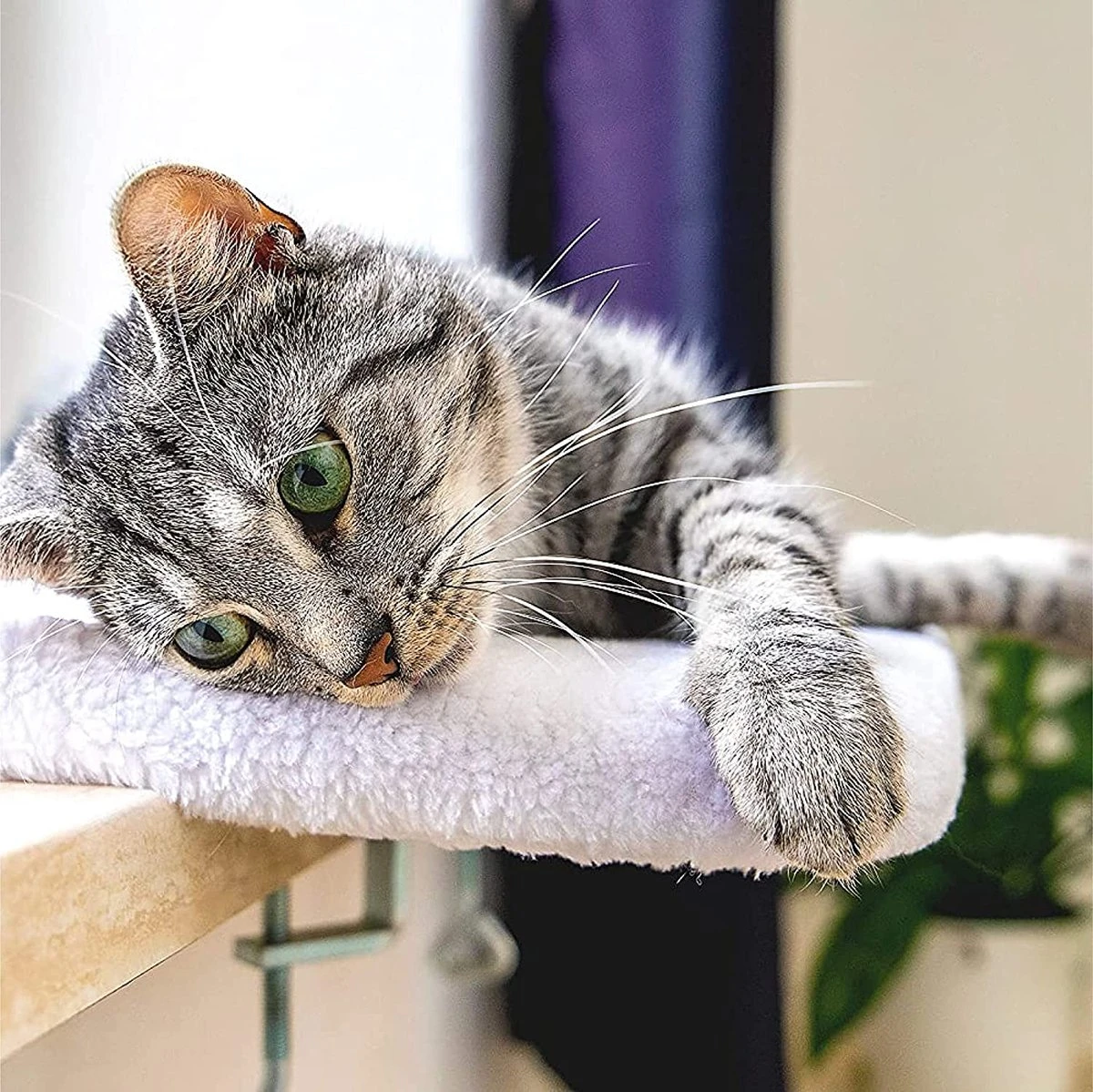 Pfotenolymp® Premium Window Baars/Krabmat Voor Katten Bij Het Raam - Vensterbank/Kattenbank Voor De Vensterbank - Zit/Ligstoel Voor Katten 6 Pfotenolymp® Premium Window Baars/Krabmat Voor Katten Bij Het Raam - Vensterbank/Kattenbank Voor De Vensterbank - Zit/Ligstoel Voor Katten - Afbeelding 4