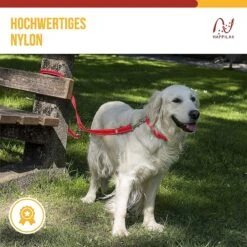 Happilax Dog Leash 2m Adjustable - Red / Reflective - 3-Step Adjustable Leash - Double Leash, Tug Leash - Geschikt Als Hondenriem Voor Grote Honden Of Als Sleepriem Voor Kleine Honden. -Merkloos Winkel 1200x1199 28