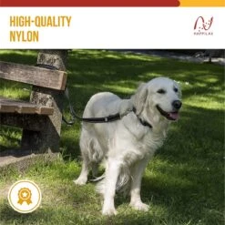 Happilax Dog Leash 2m Adjustable - Black/Reflective - 3-Step Adjustable Leash - Double Leash, Tug Leash - Geschikt Als Hondenriem Voor Grote Honden Of Als Sleepriem Voor Kleine Honden. 13 Happilax Dog Leash 2m Adjustable - Black/Reflective - 3-Step Adjustable Leash - Double Leash, Tug Leash - Geschikt Als Hondenriem Voor Grote Honden Of Als Sleepriem Voor Kleine Honden. -Merkloos Winkel 1200x1199 29