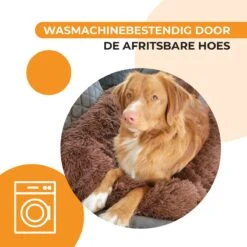 Origineel Hondendeken Voor Bank– Hondenkleed Fluffy – Pluche Hondenbed - Hondenmand Premium - Volledig Afritsbaar 15 Origineel Hondendeken Voor Bank– Hondenkleed Fluffy – Pluche Hondenbed - Hondenmand Premium - Volledig Afritsbaar -Merkloos Winkel 1200x1200 1000