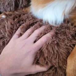 Origineel Hondendeken Voor Bank– Hondenkleed Fluffy – Pluche Hondenbed - Hondenmand Premium - Volledig Afritsbaar 16 Origineel Hondendeken Voor Bank– Hondenkleed Fluffy – Pluche Hondenbed - Hondenmand Premium - Volledig Afritsbaar -Merkloos Winkel 1200x1200 1001