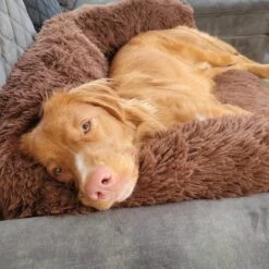 Origineel Hondendeken Voor Bank– Hondenkleed Fluffy – Pluche Hondenbed - Hondenmand Premium - Volledig Afritsbaar 17 Origineel Hondendeken Voor Bank– Hondenkleed Fluffy – Pluche Hondenbed - Hondenmand Premium - Volledig Afritsbaar -Merkloos Winkel 1200x1200 1002