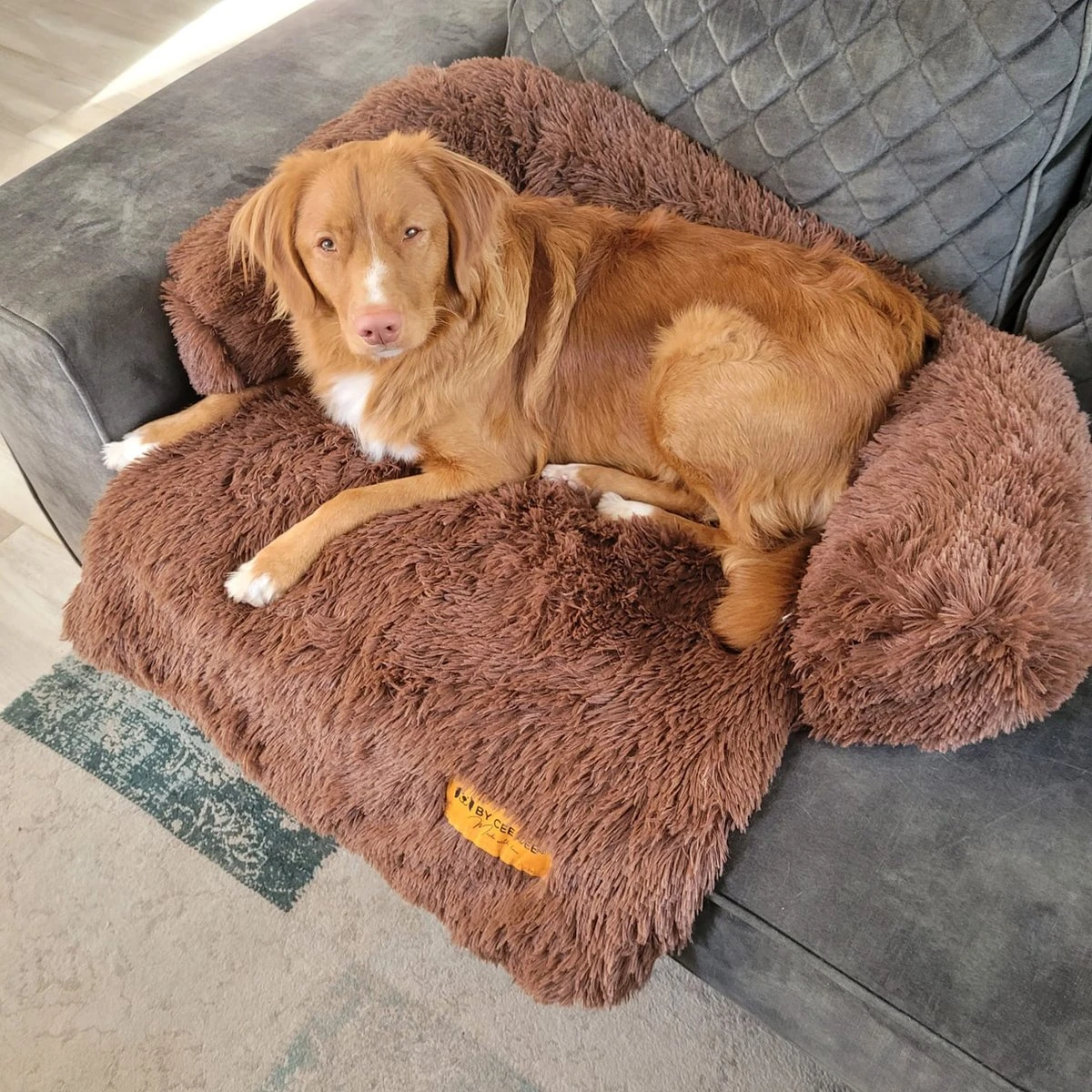 Origineel Hondendeken Voor Bank– Hondenkleed Fluffy – Pluche Hondenbed - Hondenmand Premium - Volledig Afritsbaar 10 Origineel Hondendeken Voor Bank– Hondenkleed Fluffy – Pluche Hondenbed - Hondenmand Premium - Volledig Afritsbaar - Afbeelding 8