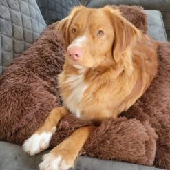 Origineel Hondendeken Voor Bank– Hondenkleed Fluffy – Pluche Hondenbed - Hondenmand Premium - Volledig Afritsbaar 19 Origineel Hondendeken Voor Bank– Hondenkleed Fluffy – Pluche Hondenbed - Hondenmand Premium - Volledig Afritsbaar -Merkloos Winkel 1200x1200 1004