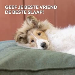 Snoozle Orthopedische Hondenmand - Zacht En Luxe Hondenkussen - Hondenbed - Wasbaar - Hondenmanden - 120 X 90 Cm - Groen 24 Snoozle Orthopedische Hondenmand - Zacht En Luxe Hondenkussen - Hondenbed - Wasbaar - Hondenmanden - 120 X 90 Cm - Groen -Merkloos Winkel 1200x1200 1010