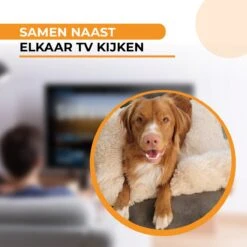 Origineel Hondendeken Voor Bank M – Hondenkleed Fluffy – Pluche Hondenbed - Hondenmand Premium - Volledig Afritsbaar - Beige -Merkloos Winkel 1200x1200 1014