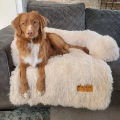 Origineel Hondendeken Voor Bank M – Hondenkleed Fluffy – Pluche Hondenbed - Hondenmand Premium - Volledig Afritsbaar - Beige -Merkloos Winkel 1200x1200 1017