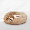 Peaceful Pooch S - Pluizig Hondenbed - 58cm Diameter - Opvouwbaar - In Verschillende Maten. Kattenbed - Wasbaar - Uitneembare Vulling - Ontspant Gewrichten En Spieren - Anti-slip Noppenbodem -Merkloos Winkel 1200x1200 1018