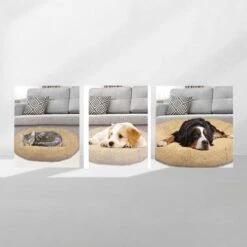 Peaceful Pooch S - Pluizig Hondenbed - 58cm Diameter - Opvouwbaar - In Verschillende Maten. Kattenbed - Wasbaar - Uitneembare Vulling - Ontspant Gewrichten En Spieren - Anti-slip Noppenbodem 10 Peaceful Pooch S - Pluizig Hondenbed - 58cm Diameter - Opvouwbaar - In Verschillende Maten. Kattenbed - Wasbaar - Uitneembare Vulling - Ontspant Gewrichten En Spieren - Anti-slip Noppenbodem -Merkloos Winkel 1200x1200 1019