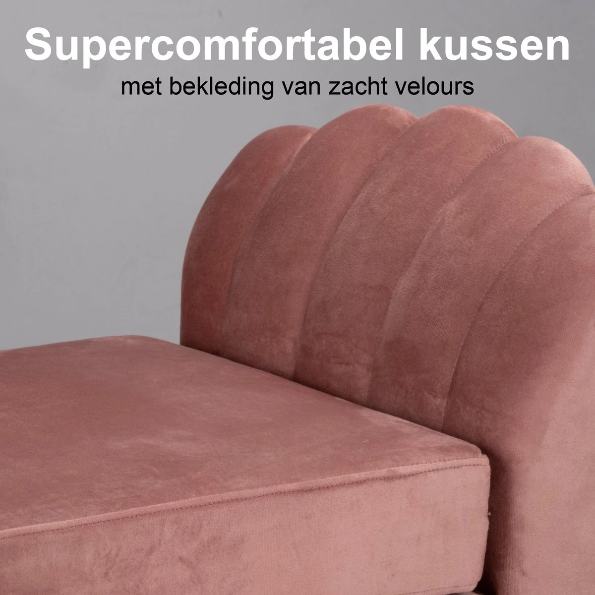 Maxxpro Katten- En Hondenbank - Roze - Verhoogd Met Houten Poten - Fluweel Materiaal - 90 X 44 X 34 CM - Huisdieren Tot 80 KG 4 Maxxpro Katten- En Hondenbank - Roze - Verhoogd Met Houten Poten - Fluweel Materiaal - 90 X 44 X 34 CM - Huisdieren Tot 80 KG - Afbeelding 2