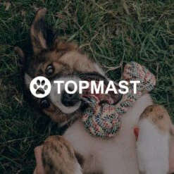 Topmast Waterproof Benchkussen - Nylon - Antraciet - 90 X 60 Cm - Benchmat - Benchmatras - Waterafstotend - Hondenkussen -Merkloos Winkel 1200x1200 1052