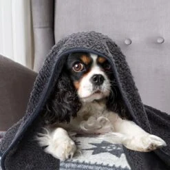 Nobleza 40UWK Hondendeken - Dierenmat - Benchkleed - 120x100cm - Grijs -Merkloos Winkel 1200x1200 1057