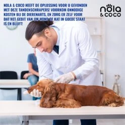 Nola & Coco® Tandsteen Verwijderaar Set Inclusief Bewaardoosje - Tandenkrabber - Set Van Twee - Hond - Kat - Tandenborstel - Tandplak Verwijderen - Tandenstoker - Honden Tanden Schoonmaken - Tandenhaakje - Gebitsreiniging -Merkloos Winkel 1200x1200 1133