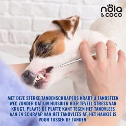 Nola & Coco® Tandsteen Verwijderaar Set Inclusief Bewaardoosje - Tandenkrabber - Set Van Twee - Hond - Kat - Tandenborstel - Tandplak Verwijderen - Tandenstoker - Honden Tanden Schoonmaken - Tandenhaakje - Gebitsreiniging -Merkloos Winkel 1200x1200 1136