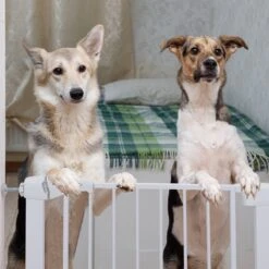 Nobleza 47B4V - Hondenhek - Metaal - H76 X L75-82 Cm - Wit 14 Nobleza 47B4V - Hondenhek - Metaal - H76 X L75-82 Cm - Wit -Merkloos Winkel 1200x1200 1158