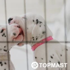 Topmast Puppyren Uitvouwbaar - Zwart - 560 Cm Omtrek - 76 Cm Hoog - Opvouwbaar - Expandable XL - Hondenren 9 Topmast Puppyren Uitvouwbaar - Zwart - 560 Cm Omtrek - 76 Cm Hoog - Opvouwbaar - Expandable XL - Hondenren -Merkloos Winkel 1200x1200 1171