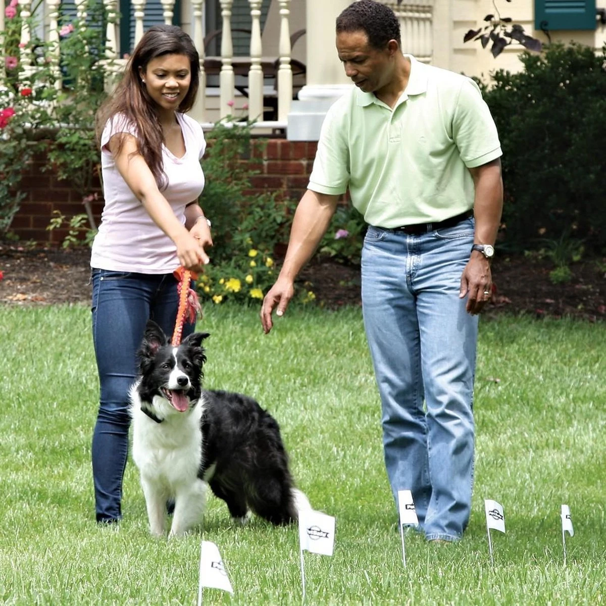 Petsafe Smartfence Omheiningsysteem - Draad Met Vlaggetjes - 150 M 4 Petsafe Smartfence Omheiningsysteem - Draad Met Vlaggetjes - 150 M - Afbeelding 2