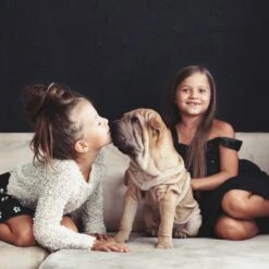 Relaxdays Puppyren - Hondenren - Puppykennel - Konijnenren - Bodem - Metaal - Div. Grootte - M 13 Relaxdays Puppyren - Hondenren - Puppykennel - Konijnenren - Bodem - Metaal - Div. Grootte - M -Merkloos Winkel 1200x1200 1265