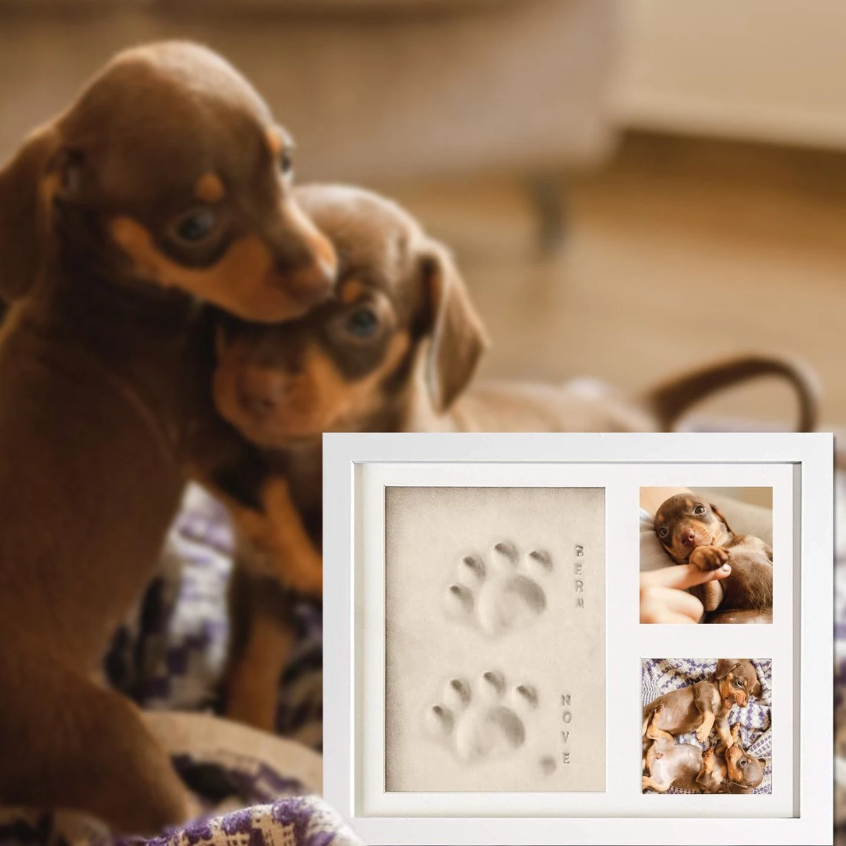 PIXETOOL Fotolijst Kleiafdruk - Gipsafdruk - Pootafdruk Hond - Puppy Speelgoed - Cadeau Voor Man - Cadeau Voor Vrouw - 3D Collage - 54 Extra Letters 3 PIXETOOL Fotolijst Kleiafdruk - Gipsafdruk - Pootafdruk Hond - Puppy Speelgoed - Cadeau Voor Man - Cadeau Voor Vrouw - 3D Collage - 54 Extra Letters - Afbeelding 2