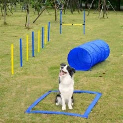 Agility Voor De Hond - 16 Delig - Agility Set - Hondentunnel - Horde - Slalom Palen - Honden Training Set - Honden Behendigheidsset - Agility Toestellen -Merkloos Winkel 1200x1200 1302