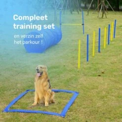 Agility Voor De Hond - 16 Delig - Agility Set - Hondentunnel - Horde - Slalom Palen - Honden Training Set - Honden Behendigheidsset - Agility Toestellen -Merkloos Winkel 1200x1200 1304