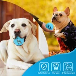 Nobleza Honden Speelgoed - Hondenspeeltjes - Hondenbal - Hondenspeelgoed - Honden Bal - Snackbal Hond - Kauwspeelgoed - Blauw - 8 Cm 14 Nobleza Honden Speelgoed - Hondenspeeltjes - Hondenbal - Hondenspeelgoed - Honden Bal - Snackbal Hond - Kauwspeelgoed - Blauw - 8 Cm -Merkloos Winkel 1200x1200 1310