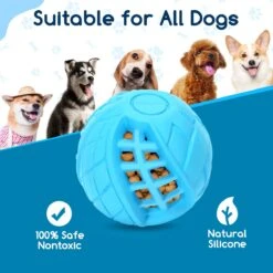 Nobleza Honden Speelgoed - Hondenspeeltjes - Hondenbal - Hondenspeelgoed - Honden Bal - Snackbal Hond - Kauwspeelgoed - Blauw - 8 Cm 17 Nobleza Honden Speelgoed - Hondenspeeltjes - Hondenbal - Hondenspeelgoed - Honden Bal - Snackbal Hond - Kauwspeelgoed - Blauw - 8 Cm -Merkloos Winkel 1200x1200 1312