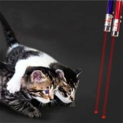 Katten Laser - Lampje Voor De Kat - 2 In 1 - Laser + Wit Lampje - Met Hanger - Katten / Honden Laserlamp - Mini - Sleutelhanger -Merkloos Winkel 1200x1200 1343