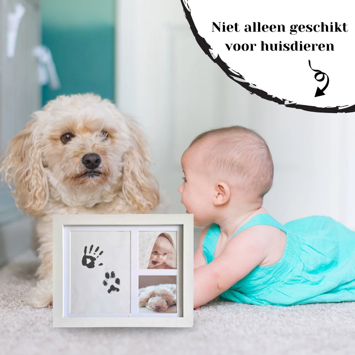 NOVOB® Fotolijst Met Inktafdruk - Pootafdruk Hond - Contactloos - Paw Print - Hondenspeelgoed - Afdruk Huisdier - Cadeau - 23.5 X 29 Cm | Wit 7 NOVOB® Fotolijst Met Inktafdruk - Pootafdruk Hond - Contactloos - Paw Print - Hondenspeelgoed - Afdruk Huisdier - Cadeau - 23.5 X 29 Cm | Wit - Afbeelding 5