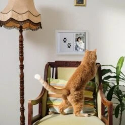 NOVOB® Fotolijst Met Inktafdruk - Pootafdruk Hond - Contactloos - Paw Print - Hondenspeelgoed - Afdruk Huisdier - Cadeau - 23.5 X 29 Cm | Wit 14 NOVOB® Fotolijst Met Inktafdruk - Pootafdruk Hond - Contactloos - Paw Print - Hondenspeelgoed - Afdruk Huisdier - Cadeau - 23.5 X 29 Cm | Wit -Merkloos Winkel 1200x1200 1353