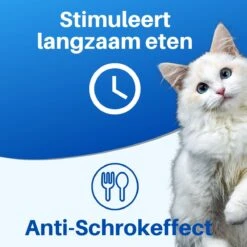 JT Products Siliconen Snuffelmat Zwart - Voor Hond En Kat – Puppy – Kitten – Konijn - Voerbak – Agility Voor De Hond - Honden Speelgoed Intelligentie – Denkspel Hond – Speelgoed Hondje Interactief – Anti Schrok Mat - Likmat 16 JT Products Siliconen Snuffelmat Zwart - Voor Hond En Kat – Puppy – Kitten – Konijn - Voerbak – Agility Voor De Hond - Honden Speelgoed Intelligentie – Denkspel Hond – Speelgoed Hondje Interactief – Anti Schrok Mat - Likmat -Merkloos Winkel 1200x1200 1385