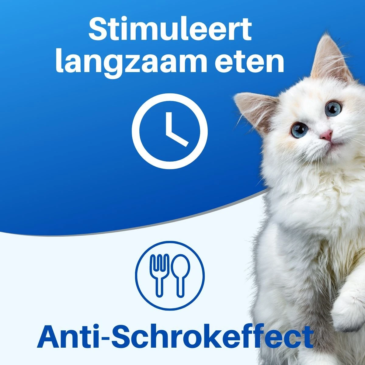 JT Products Siliconen Snuffelmat Zwart - Voor Hond En Kat – Puppy – Kitten – Konijn - Voerbak – Agility Voor De Hond - Honden Speelgoed Intelligentie – Denkspel Hond – Speelgoed Hondje Interactief – Anti Schrok Mat - Likmat 5 JT Products Siliconen Snuffelmat Zwart - Voor Hond En Kat – Puppy – Kitten – Konijn - Voerbak – Agility Voor De Hond - Honden Speelgoed Intelligentie – Denkspel Hond – Speelgoed Hondje Interactief – Anti Schrok Mat - Likmat - Afbeelding 3